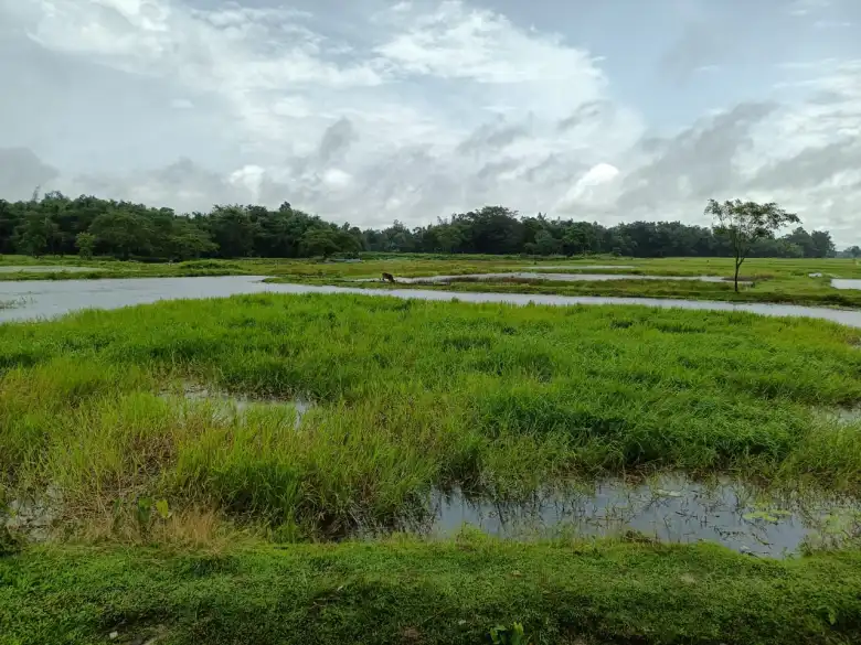 majuli-wild-rich